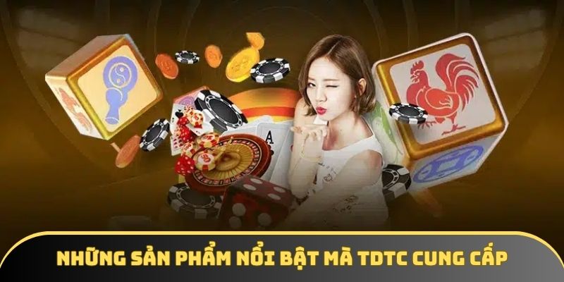Những sản phẩm nổi bật mà TDTC cung cấp